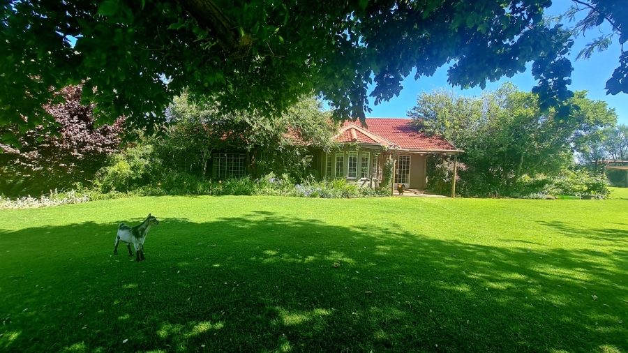 Commercial Property for Sale in Bainsvlei Free State